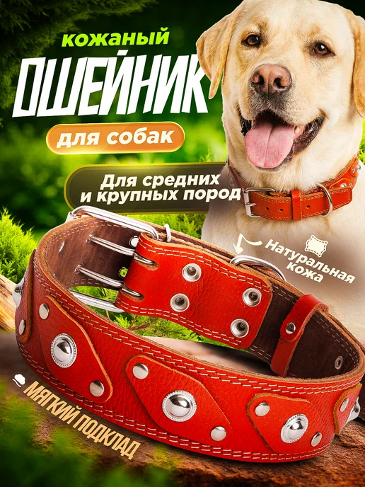 Emotico.Pets Ошейник для собак кожаный, оранжевый
