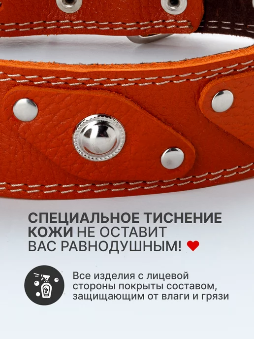 Emotico.Pets Ошейник для собак кожаный, оранжевый, фото 3