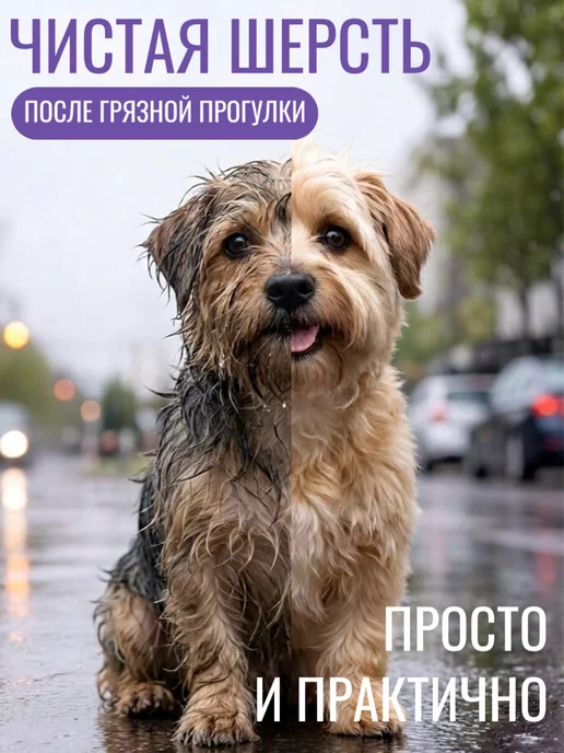 Дай лапу Дождевик для собак НЬЮ, зеленый, фото 2
