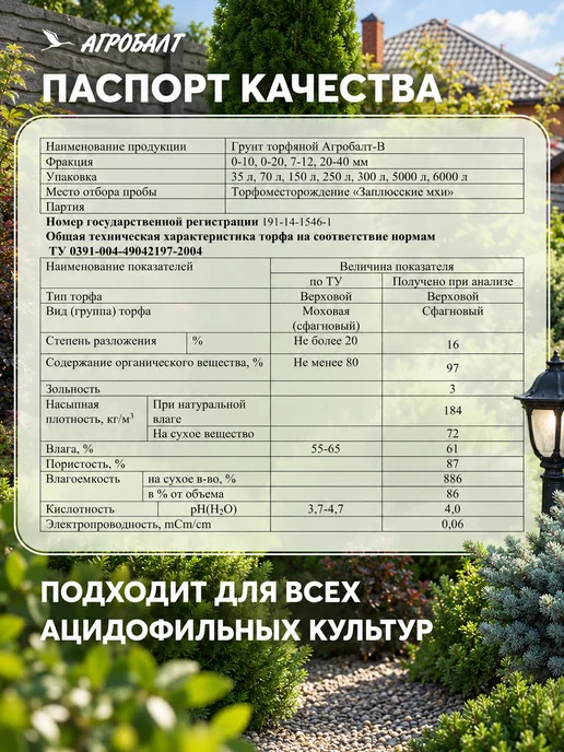 Агробалт Грунт кислый для голубики и гортензий, торф верховой 70 л, 70 л, фото 3