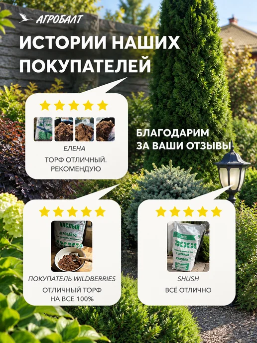 Агробалт Грунт кислый для голубики и гортензий, торф верховой 70 л, 70 л, фото 8