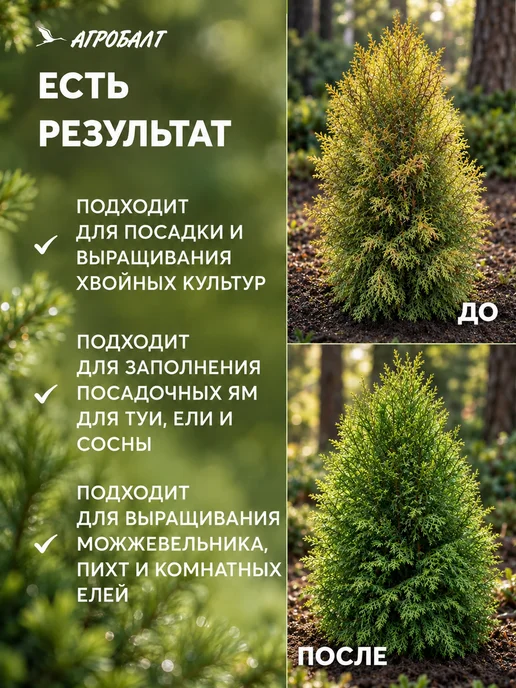 Агробалт Грунт кислый для хвойников, торф для голубики 70 литров, голубой, фото 4