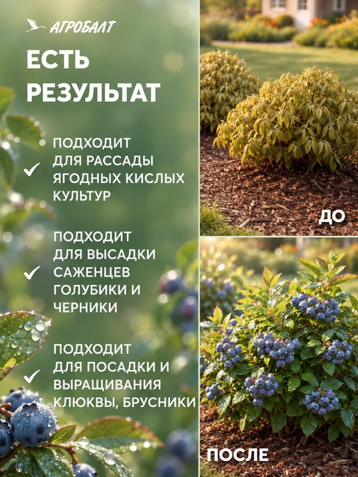 Агробалт Грунт для голубики кислый, торф для гортензий 70 литров, голубой, фото 4