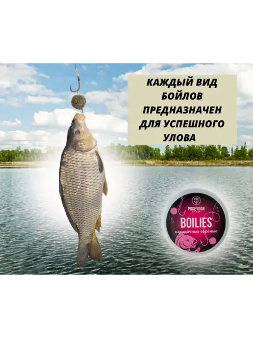 POSEYDON GROUP Бойлы насадочные варенные Белый шоколад 16мм 150g, 150 г, фото 3