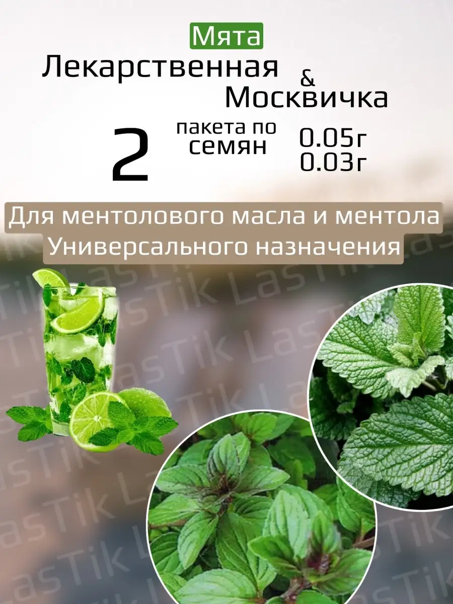 Мята Лекарственная и Москвичка 2 пакета Русский Огород 73583453 купить за  122 ₽ в интернет-магазине Wildberries