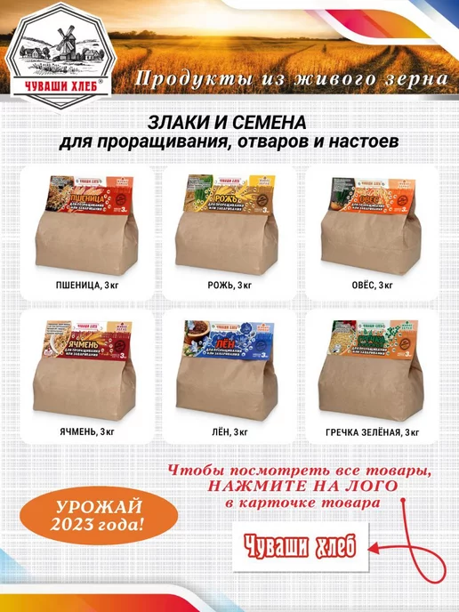 Чуваши Хлеб Зеленая гречка, 3 кг, непропаренная, Алтайская, 3 кг, фото 3