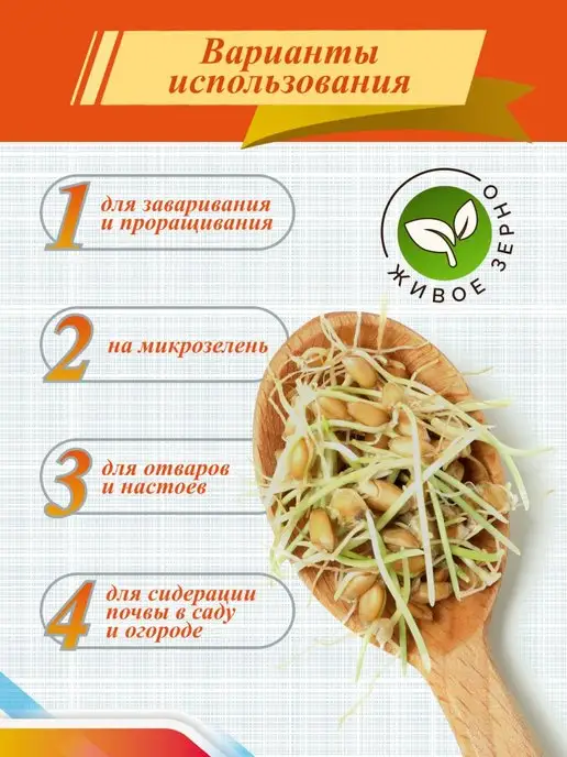 Чуваши Хлеб Пшеница для проращивания и отваров, 3 кг, 3 кг, фото 2