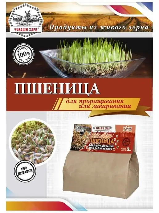 Чуваши Хлеб Пшеница для проращивания и отваров, 3 кг, 3 кг, фото 3
