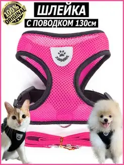 Шлейка прогулочная с поводком для собак и кошек KINGDOM pets 73684309 купить за 185 ₽ в интернет-магазине Wildberries