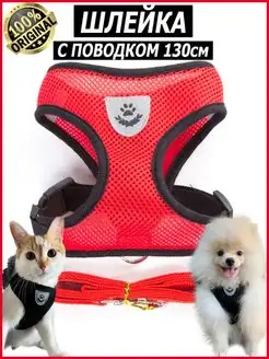 Шлейка прогулочная с поводком для собак и кошек KINGDOM pets 73684310 купить за 204 ₽ в интернет-магазине Wildberries