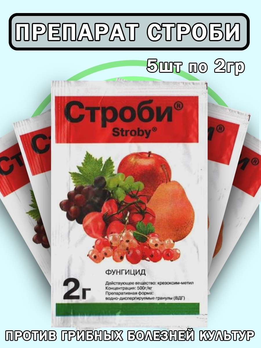 Препарат строби. Строби 2гр. Строби паутинка. Чин Строби в Саратове.