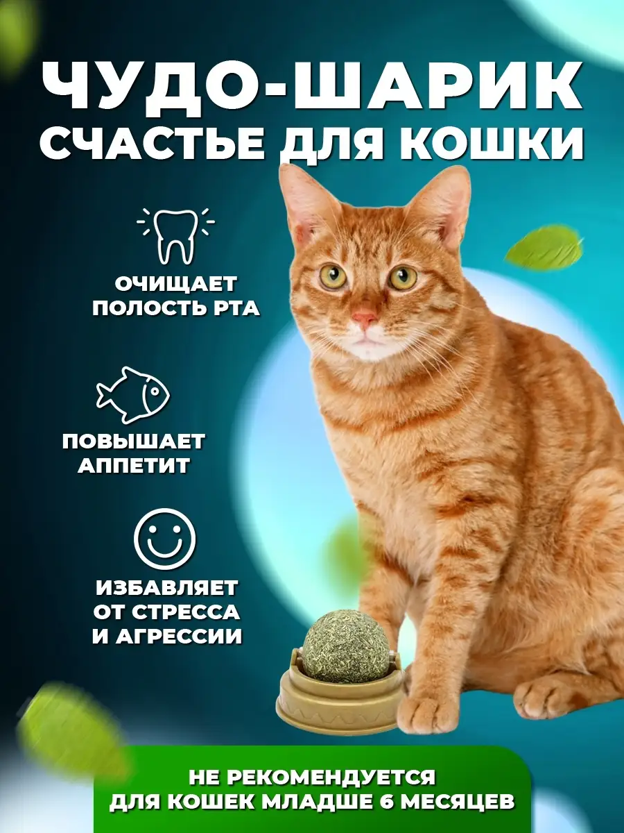 Игрушка для животных / мята для кошек, кота конфета леденец лакомство  травка / товар для животных Fluffy paws 73765966 купить за 99 ₽ в  интернет-магазине Wildberries