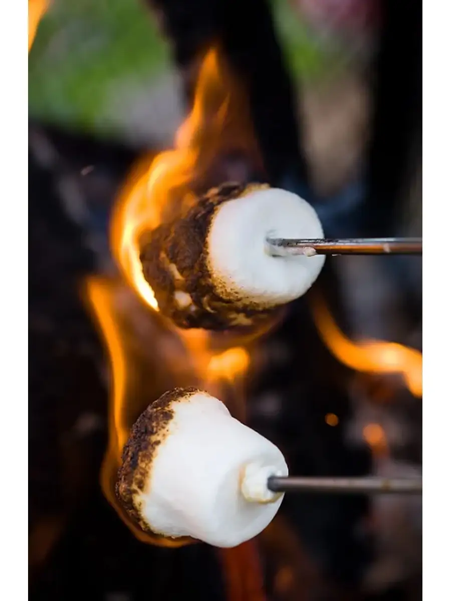Жарить зефирки. Зефир маршмеллоу на костре. Зефир на огне маршмеллоу. Зефир маршмеллоу на костре. Зефир маршмеллоу на костре.