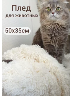 Плед для животных Soft Puf 74053636 купить за 313 ₽ в интернет-магазине Wildberries