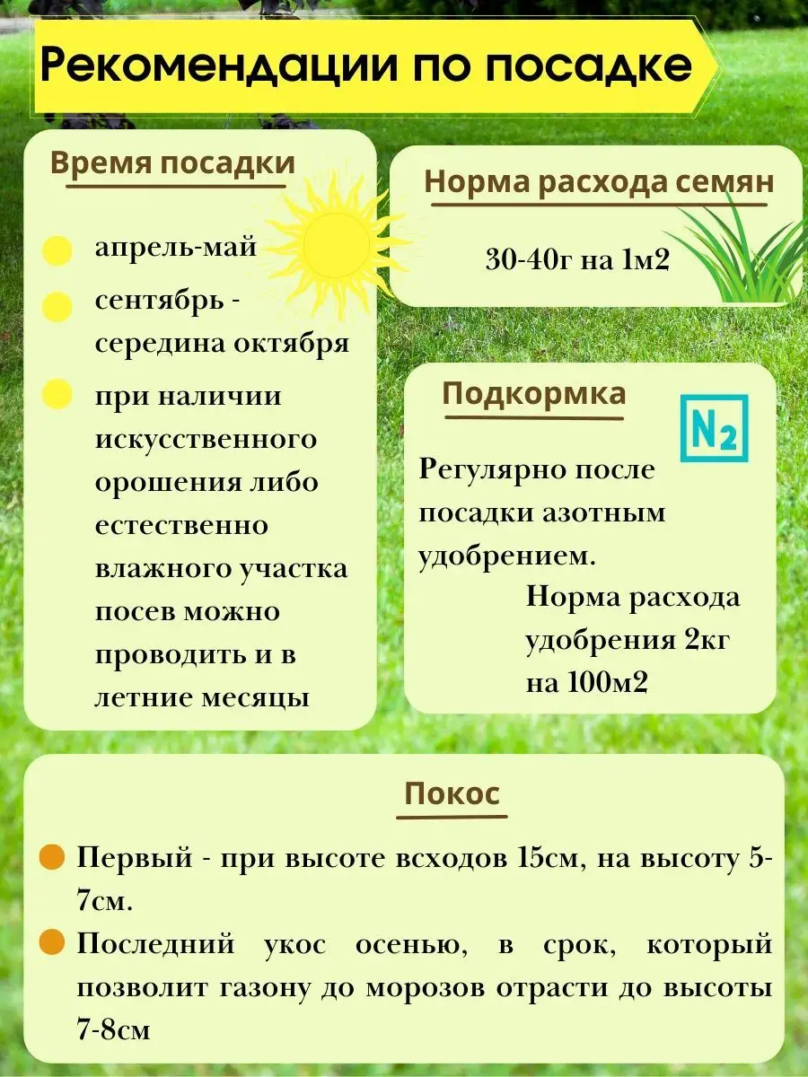 Семена газона универсальный смесь трав 1 кг Беркут 7 трав 74150585 купить в  интернет-магазине Wildberries