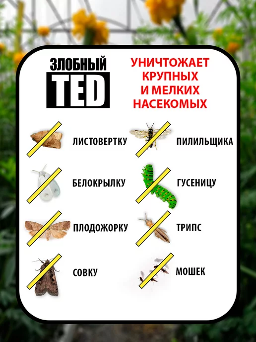 Злобный Тэд Средство от мух клеевая ловушка для теплиц 5 пластин, вариант, фото 2