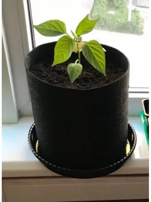 Eco Pot Горшок текстильный для цветов и рассады 7,5 л 5 шт, 7,5 л, 5 шт, фото 8