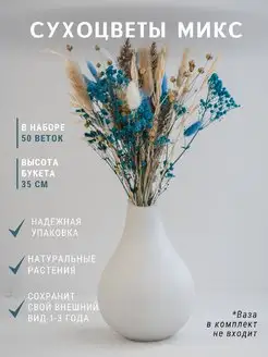 Сухоцветы для вазы,набор сухоцветов TRAVA_DECOR 74371415 купить за 926 ₽ в интернет-магазине Wildberries