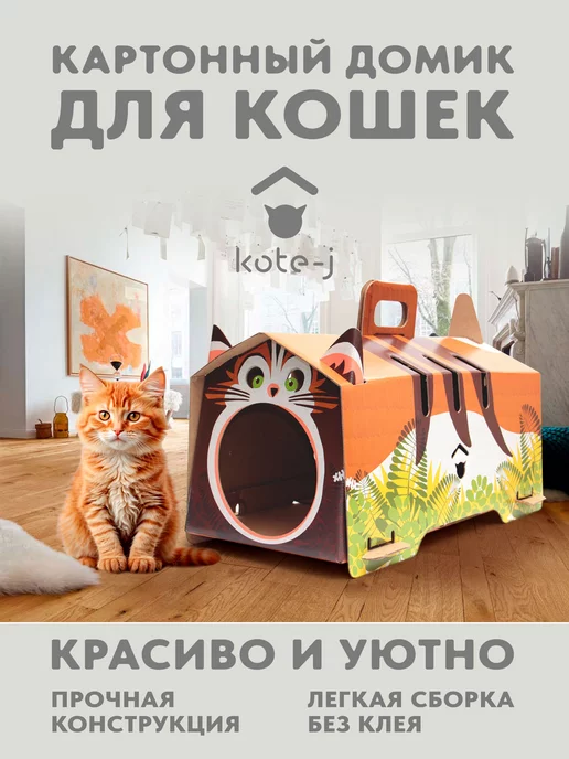 Почему кошки любят коробки и пакеты