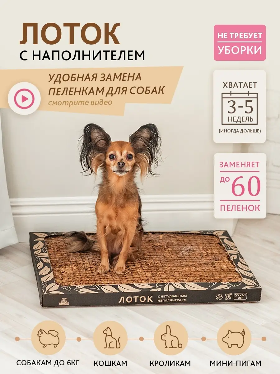 Лоток для собак - замена пеленкам