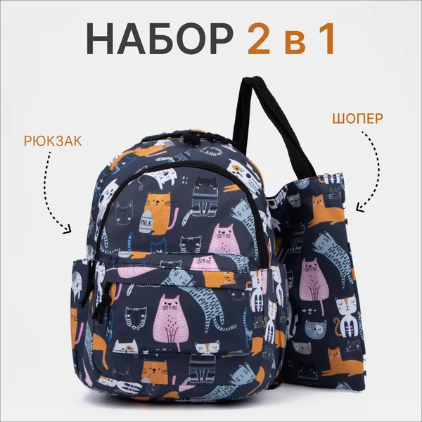 Рюкзак школьный отдел на молнии набор шопер