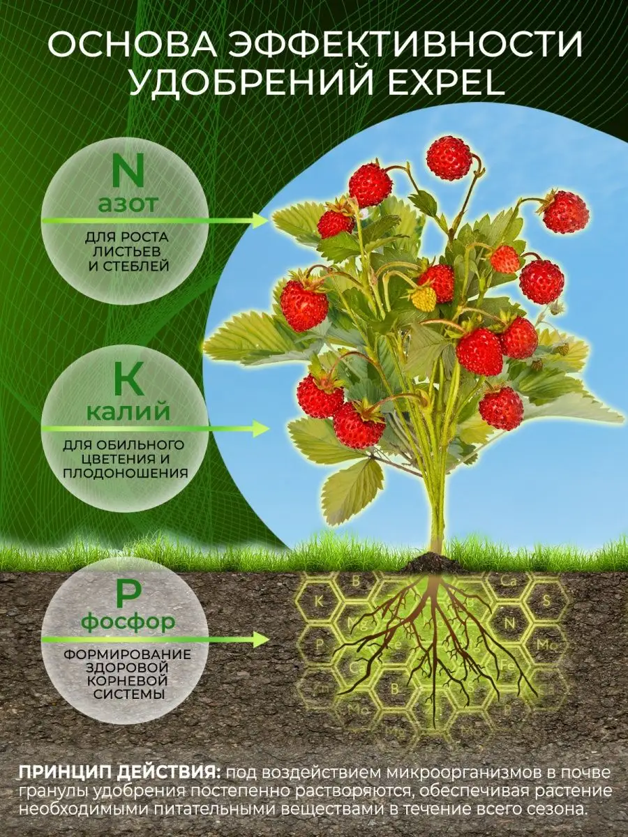 Удобрение для клубники, смородины и малины, 750г Expel 74622648 купить за  393 ₽ в интернет-магазине Wildberries