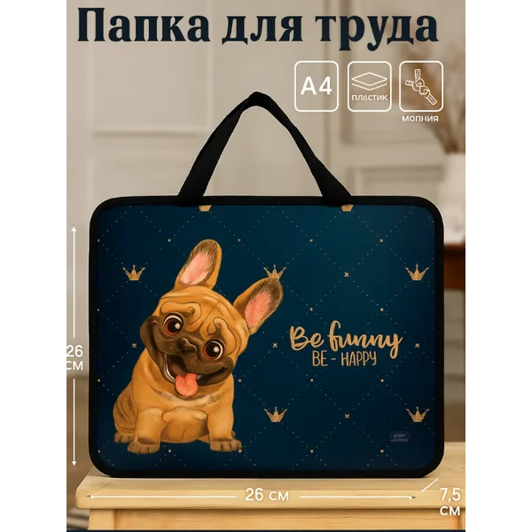 Папка сумка школьная для труда и тетрадей А4 с ручками