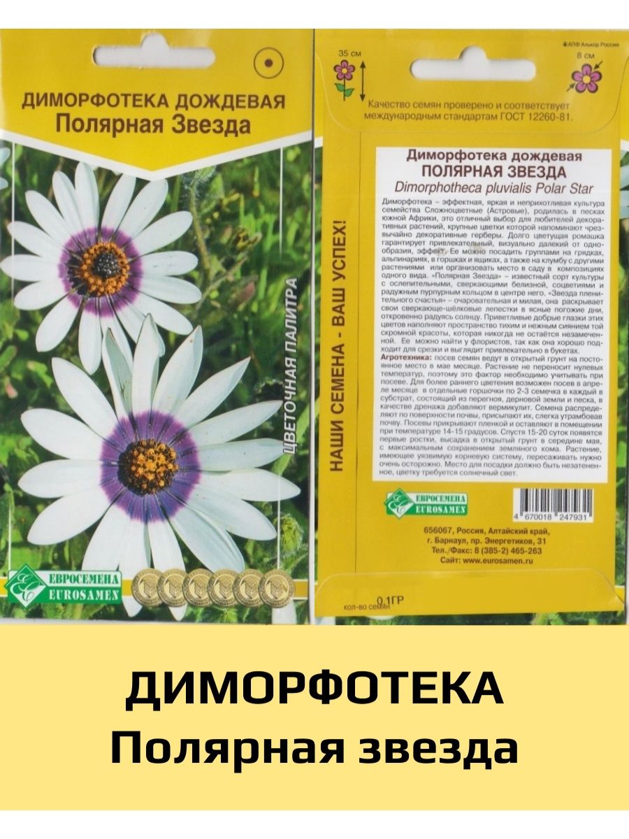 Семена Диморфотека Полярная звезда, 1 уп ЕВРОСЕМЕНА 74644802 купить за 190  ₽ в интернет-магазине Wildberries