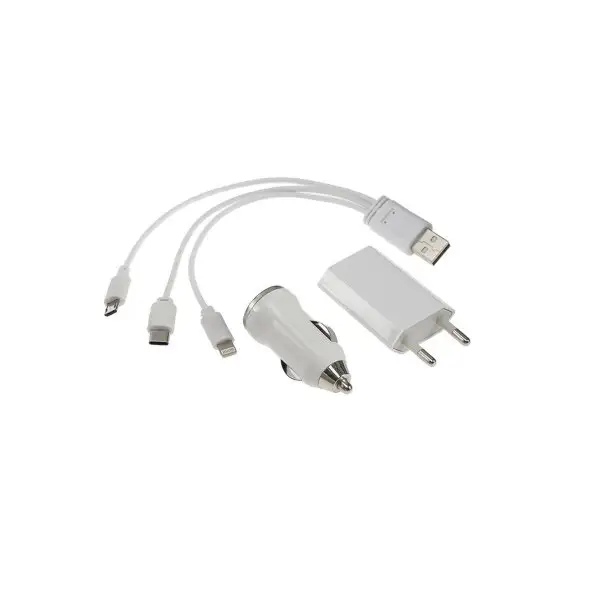Комплект для зарядки Type-C/Lightning/microUSB, 1 А