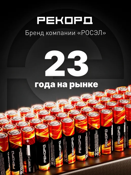 РЕКОРД Батарейки аа пальчиковые алкалиновые набор 4 шт, 10 шт, фото 8