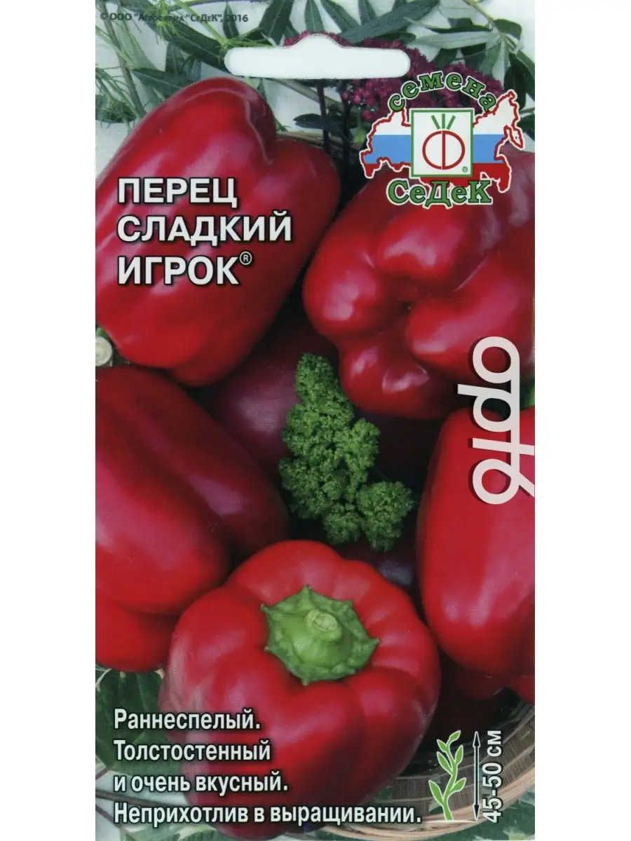 Основные характеристики и особенности