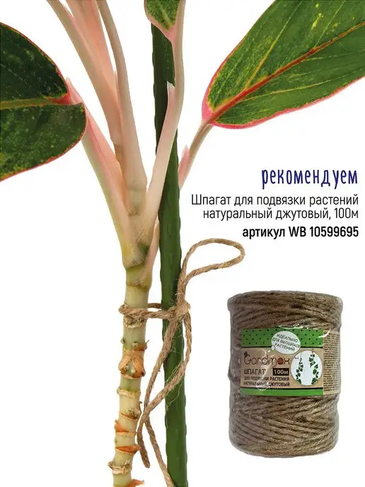 Garden Show Опора для растений металл в пластике 90 см, 5 шт, 5 шт, фото 6