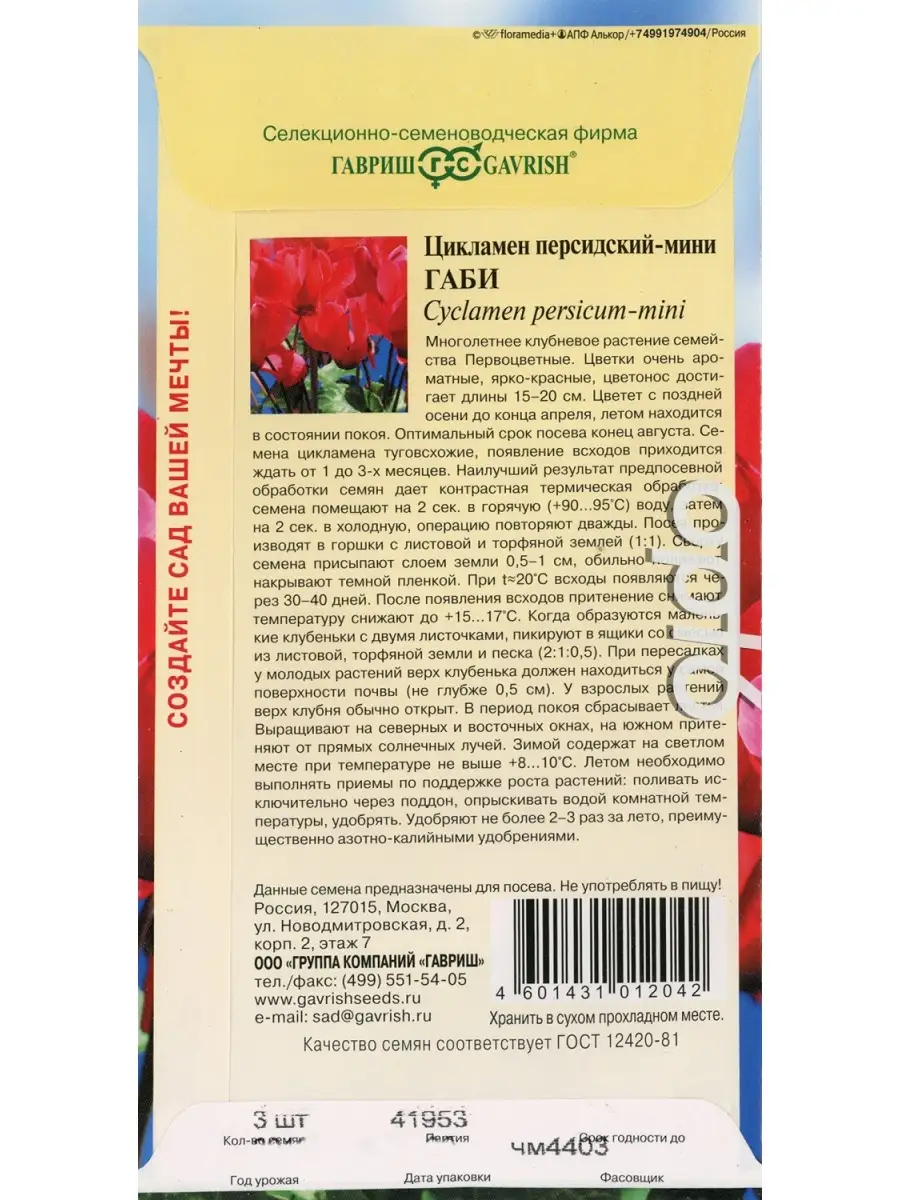 Цикламен персидский Габи, 3 шт. / Семена комнатных растений 74772657 купить  в интернет-магазине Wildberries