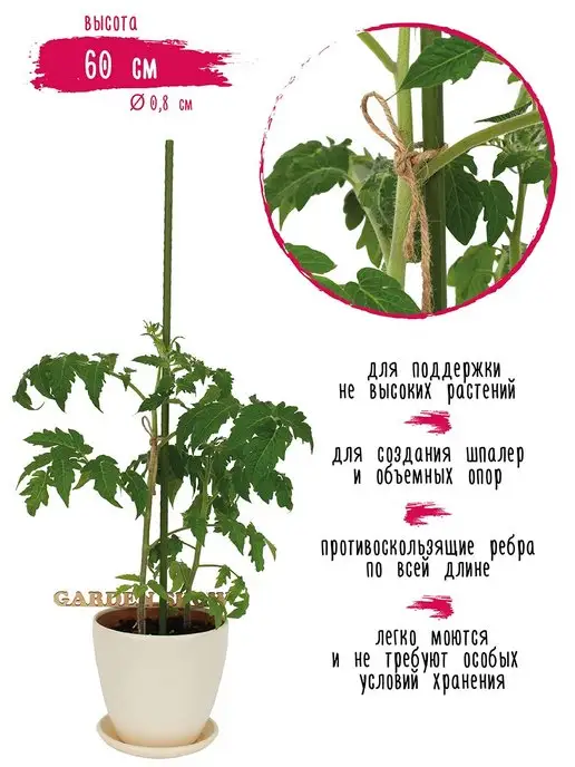 Garden Show Опоры для растений заостренные, металл в пластике 5 шт 60 см, 5 шт, фото 3