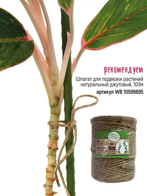 Garden Show Опоры для растений заостренные, металл в пластике 5 шт 60 см, 5 шт, фото 6