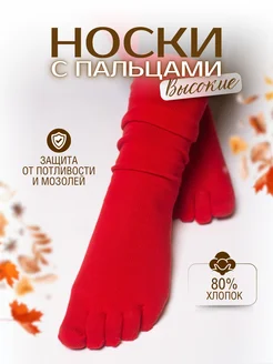 Носки с пальцами TFL 74880521 купить за 267 ₽ в интернет-магазине Wildberries