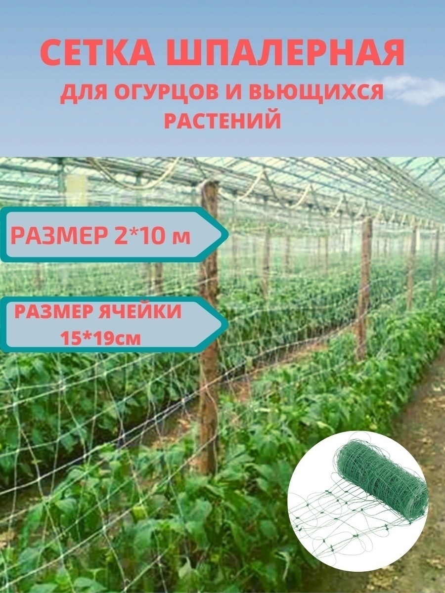 Шпалерная сетка 2*10м для огурцов/для гороха GladiGarden 74902711 купить в  интернет-магазине Wildberries