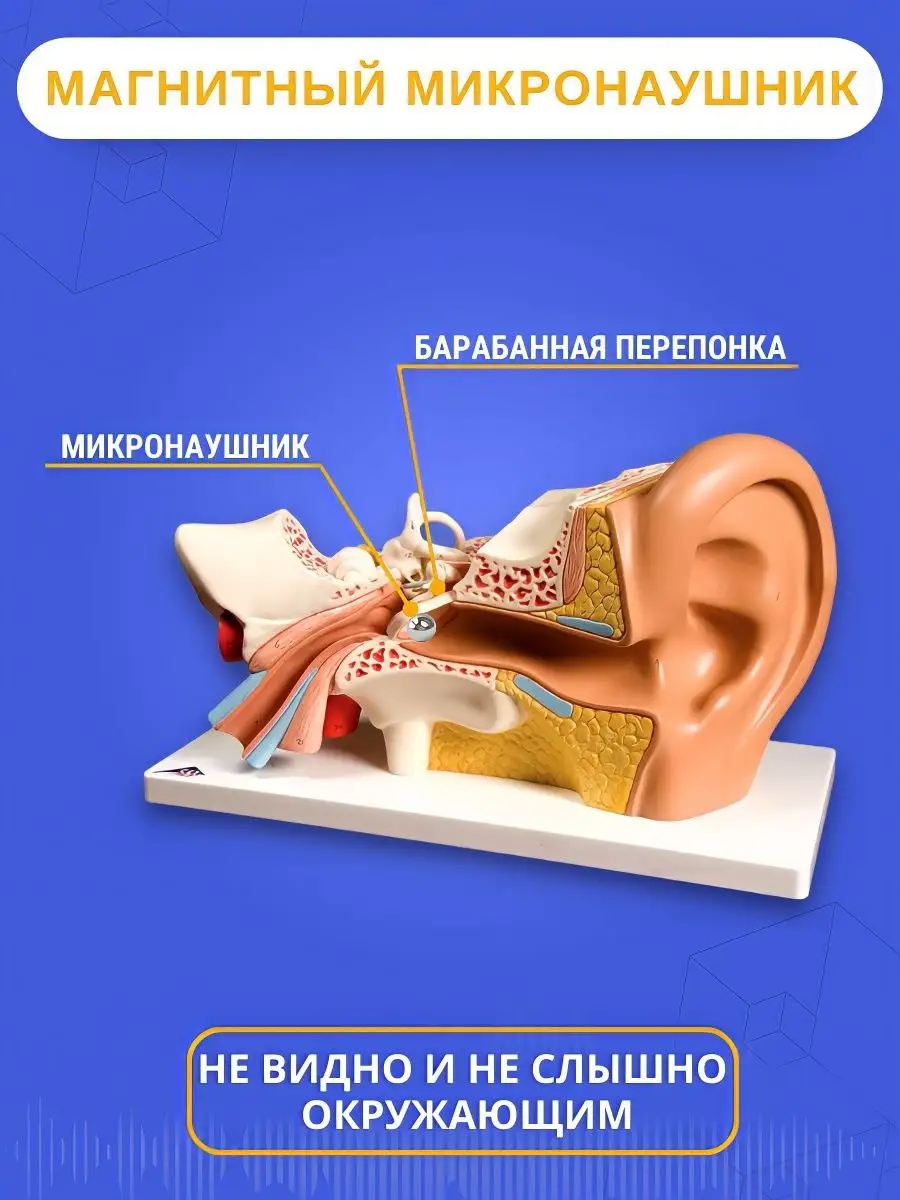 Микронаушник магнитный Bluetooth Микронаушники STELS 74940128 купить за 3  540 ₽ в интернет-магазине Wildberries