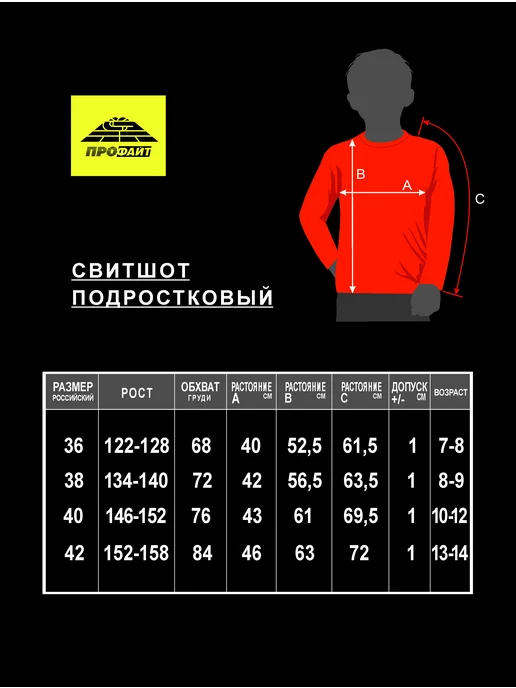 ПРОФАЙТ Свитшот спортивный Самбо подростковый, серый, фото 5