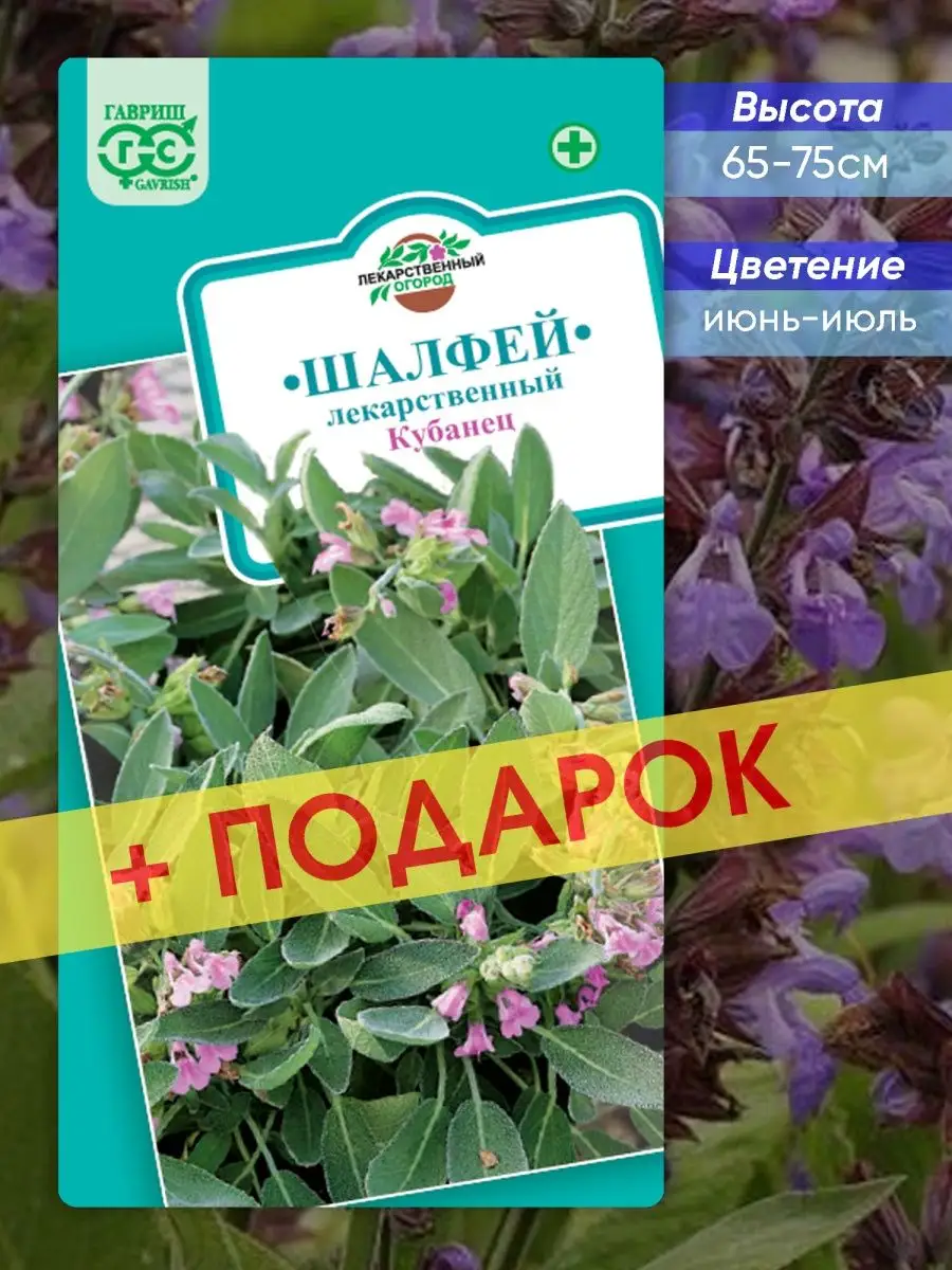 Шалфей Семенами Цена