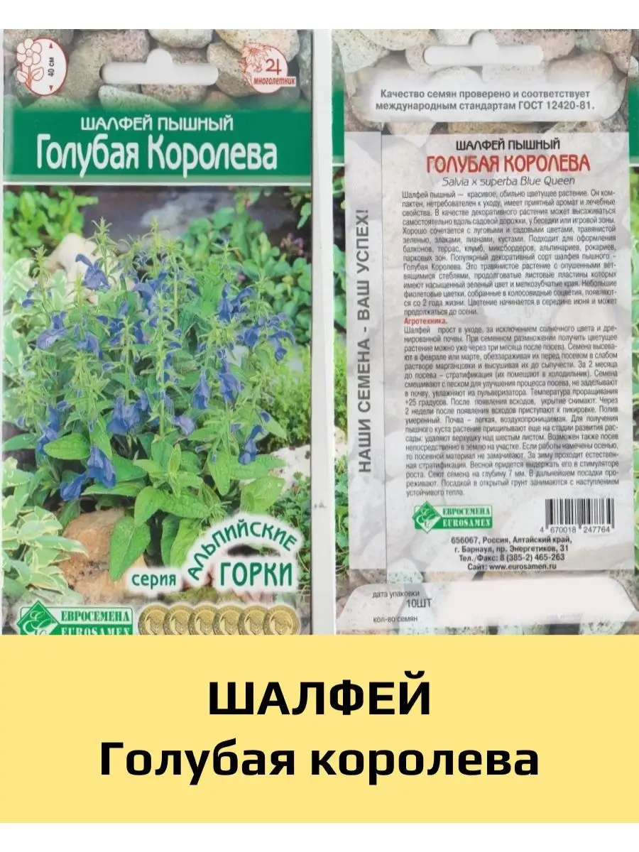 Шалфей Семенами Цена