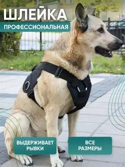 Шлейка для больших собак крупных пород 2PETS 75037524 купить за 1 812 ₽ в интернет-магазине Wildberries