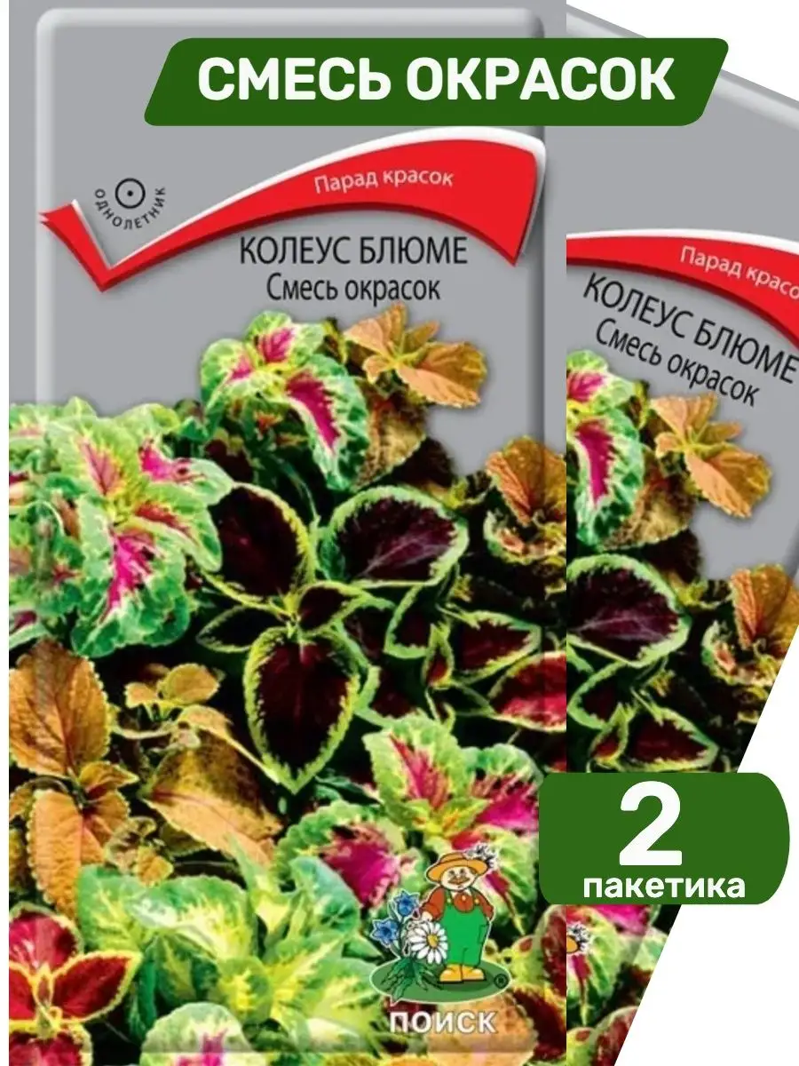 Семена колеуса Агрохолдинг Поиск 75061935 купить за 167 ₽ в  интернет-магазине Wildberries