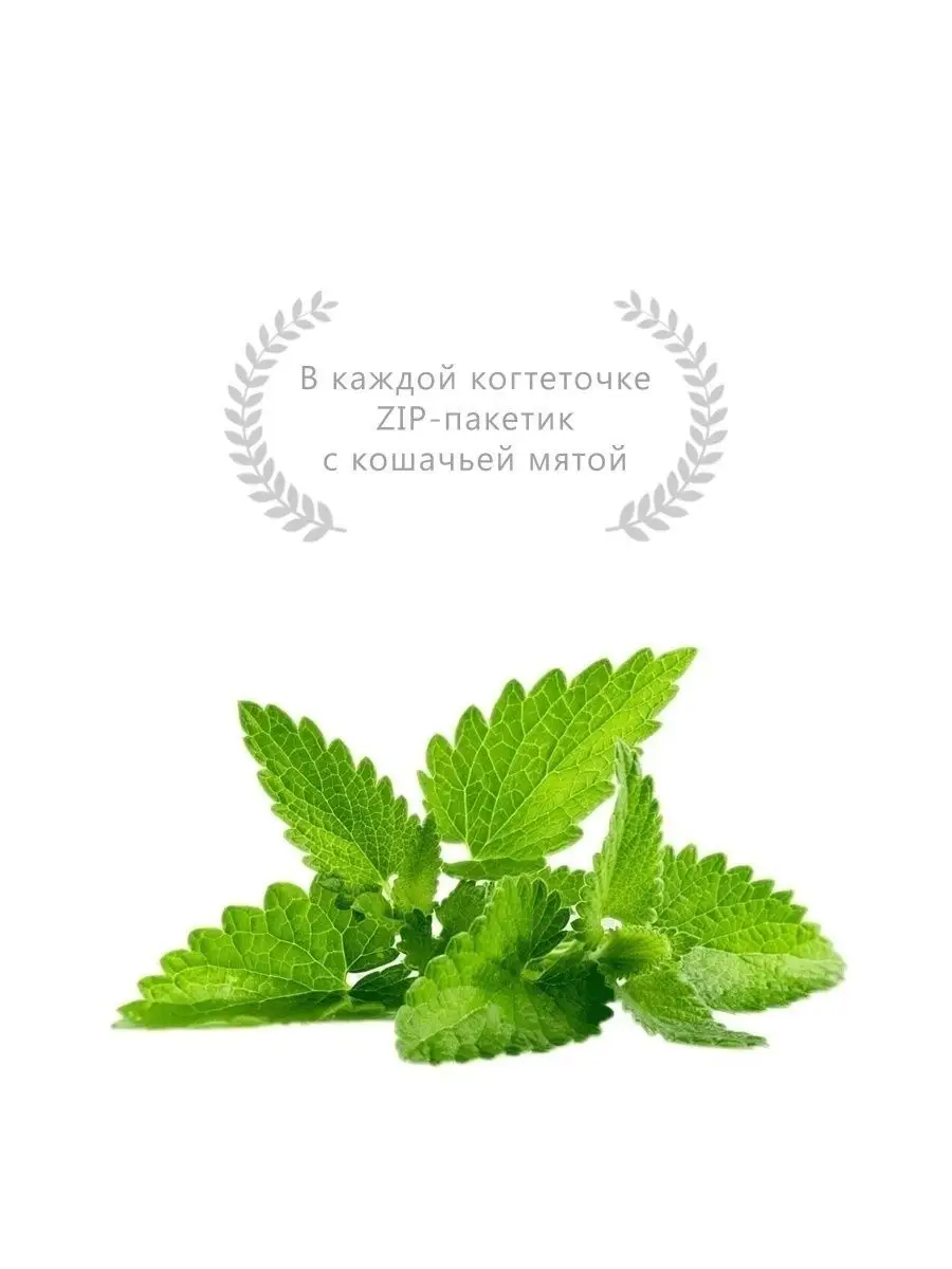 Когтеточка с лежанкой 35x35x60 RICH BREED 75135976 купить за 973 ₽ в  интернет-магазине Wildberries