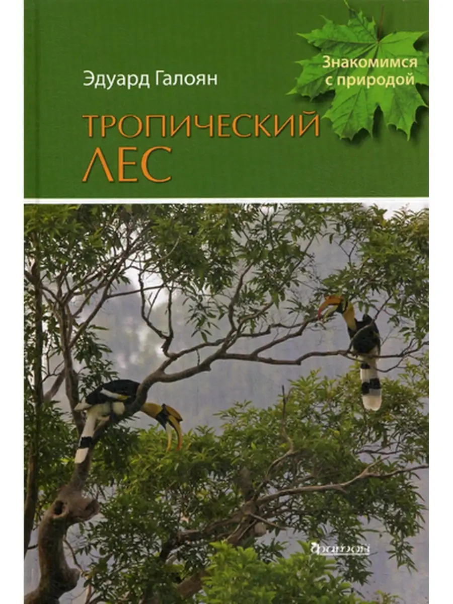 Эдуард Галоян Тропический лес