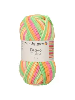 Bravo Color /Браво Колор/ пряжа Schachenmayr Originals Schachenmayr 75208317 купить за 237 ₽ в интернет-магазине Wildberries