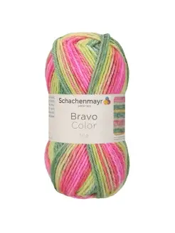 Bravo Color Браво Колор пряжа Originals Schachenmayr 75215630 купить за 251 ₽ в интернет-магазине Wildberries