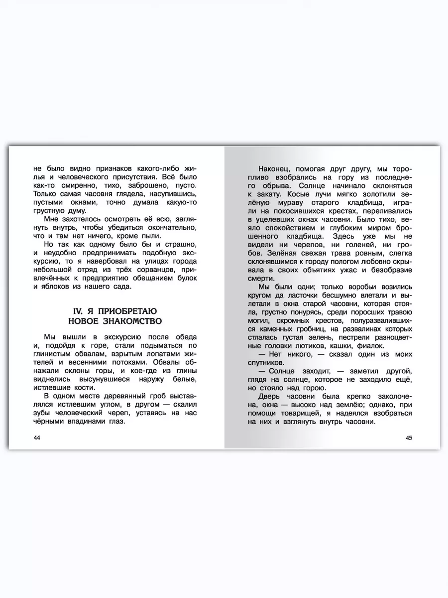 Короленко В.Г. В дурном обществе. Внеклассное чтение Омега-Пресс 75246676  купить за 332 ₽ в интернет-магазине Wildberries