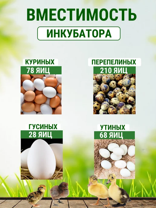 Подворье Инкубатор OVO на 78 яиц (100% автомат), белый, фото 2
