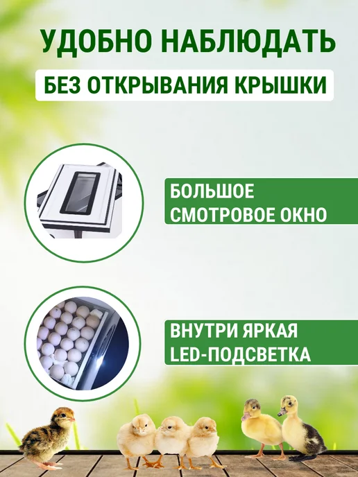 Подворье Инкубатор OVO на 78 яиц (100% автомат), белый, фото 3